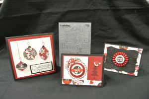 Not My Mama's Cards November Class Includes Embossing Folder